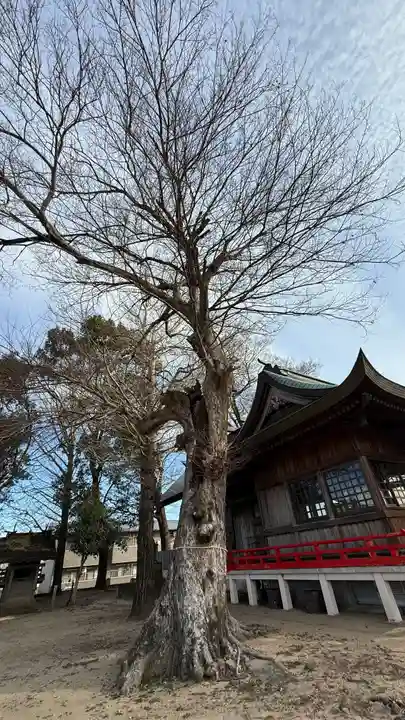 若宮神社(徳島県)