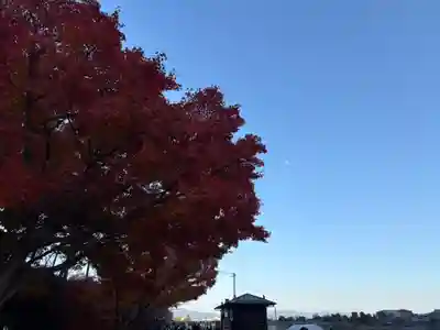 野宮神社(京都府)