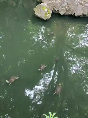 成田山新勝寺(千葉県)