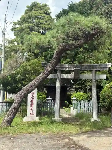 渋池弁財天社(東京都)
