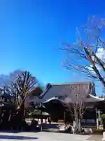 成願寺(東京都)