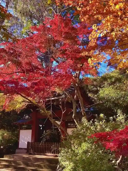 本土寺(千葉県)