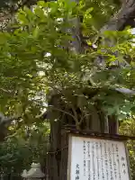 大瀬神社(静岡県)