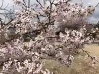 万九千社の自然