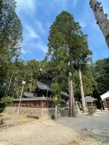 須賀神社(滋賀県)