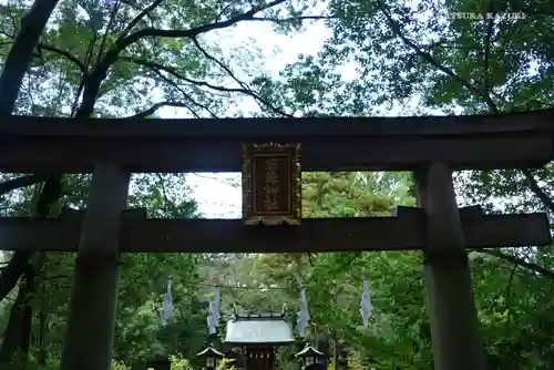 武蔵一宮氷川神社の鳥居