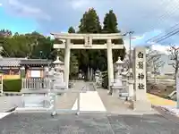 白鬚神社(滋賀県)
