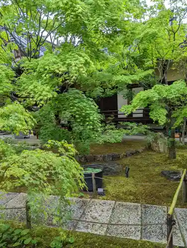 勝林寺(京都府)