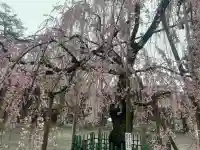 大國魂神社の{uncategorized: "未分類", other: "その他", undefined: "問題あり", building: "その他建物", grave: "お墓", sacred_gate: "鳥居", guardian: "狛犬", statue: "像", buddha: "仏像", history: "歴史", nature: "自然", garden: "庭園", animal: "動物", pagoda: "塔", temizu: "手水舎", mountain_gate: "山門・神門", sanctuary: "本殿・本堂", subordinate: "末社・摂社", art: "芸術", scenery: "景色", jizo: "地蔵", ema: "絵馬", goshuin: "御朱印", omikuji: "おみくじ", items: "授与品その他", amulet: "お守り", goshuincho: "御朱印帳", eats: "食事", festival: "お祭り", votive_dance: "神楽", shichigosan: "七五三参", wedding: "結婚式", experience: "体験その他", initially: "初詣", around: "周辺", anti_infection: "感染症対策"}