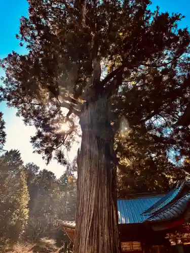 北口本宮冨士浅間神社(山梨県)