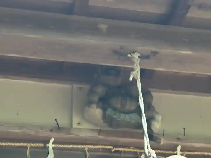 許野乃兵主神社(鳥取県)