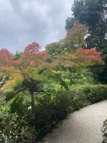 高鴨神社(奈良県)