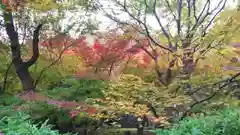 法輪寺の庭園