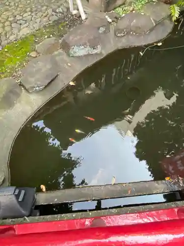 羽衣町厳島神社（関内厳島神社・横浜弁天）の庭園