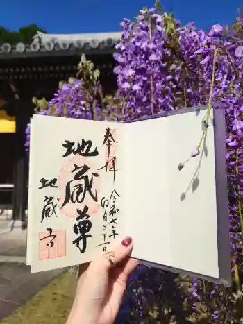 子安地蔵寺の御朱印 2025年04月