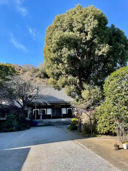 成願寺(神奈川県)