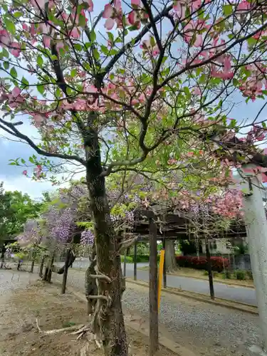 大天白神社(埼玉県)