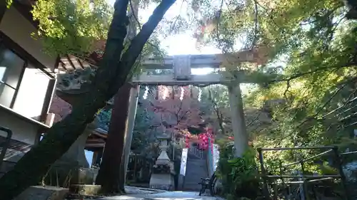 天照大神高座神社の鳥居