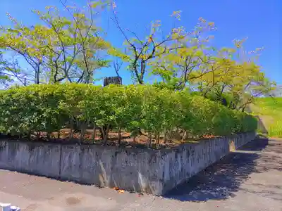 利水神社の自然