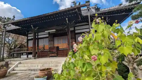 本満寺（本願満足寺）(京都府)