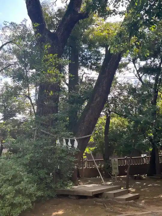 武蔵一宮氷川神社(埼玉県)
