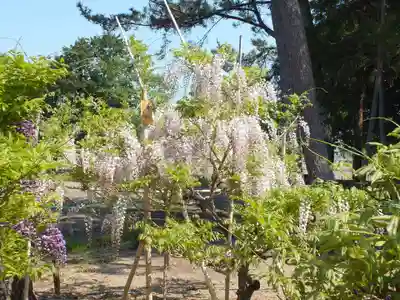 志那神社のその他建物