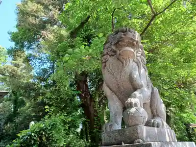 馬場氷川神社(埼玉県)