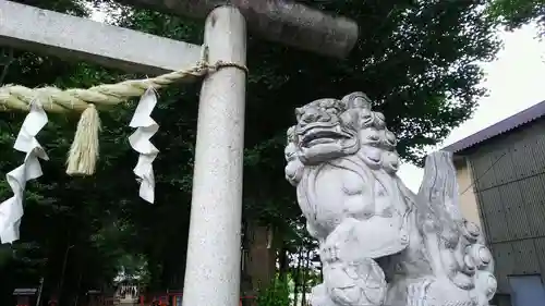 武蔵野神社の狛犬