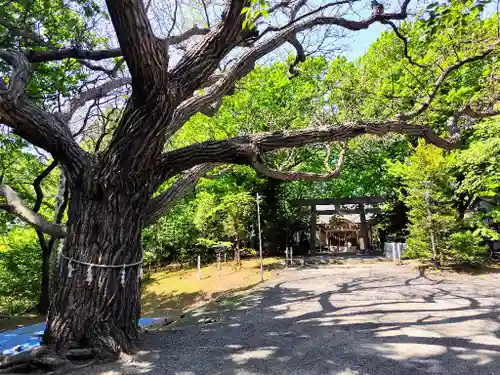 相馬神社の自然