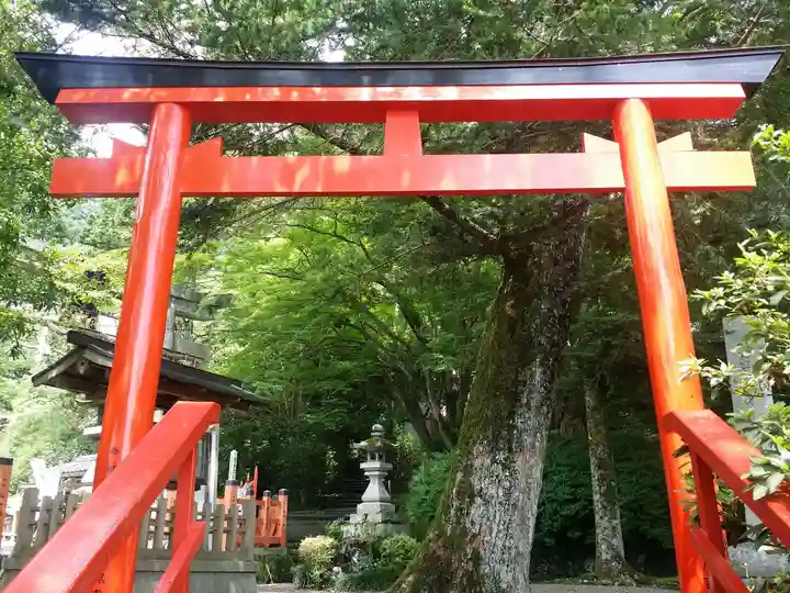 出雲大神宮の鳥居