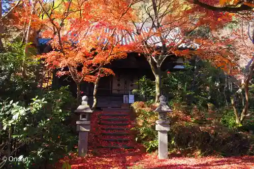 善法律寺(京都府)