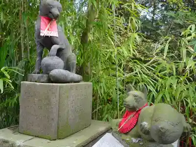 白笹稲荷神社の狛犬