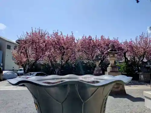 荘厳寺(東京都)