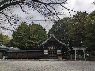 八幡社(柏井町)の本殿・本堂