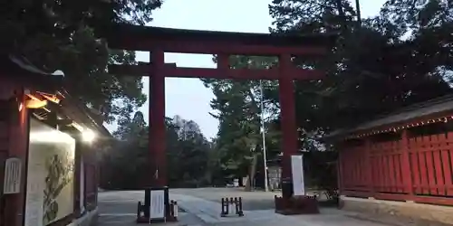 武蔵一宮氷川神社の鳥居