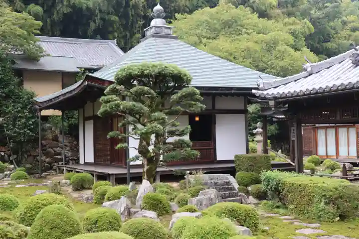 金剛寺(大阪府)