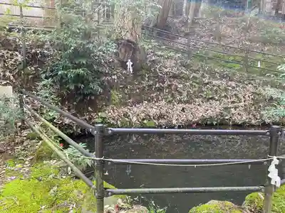 玉作湯神社(島根県)
