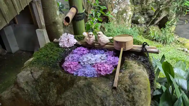 柳谷観音 楊谷寺(京都府)