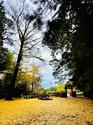 八幡宮來宮神社(静岡県)
