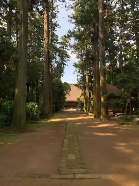 飯高寺(千葉県)