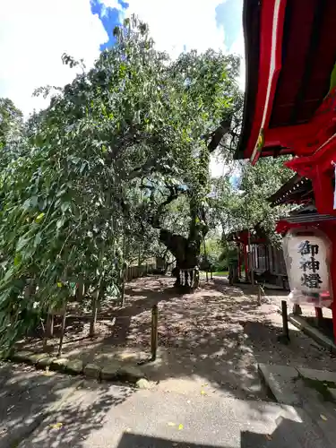 小川諏訪神社の自然