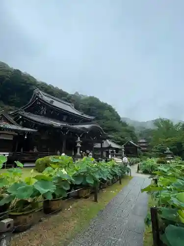 三室戸寺(京都府)