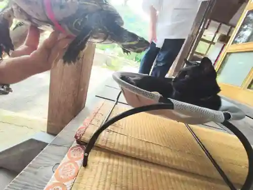 高司神社〜むすびの神の鎮まる社〜の動物