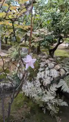 総見院(京都府)