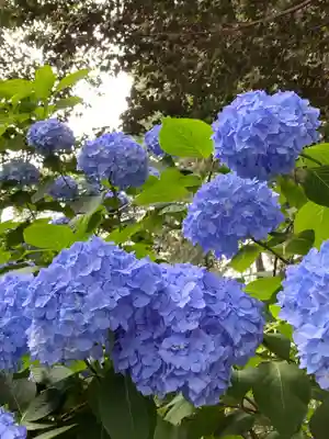 放光寺(山梨県)