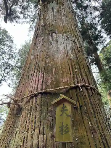 恵那神社(岐阜県)