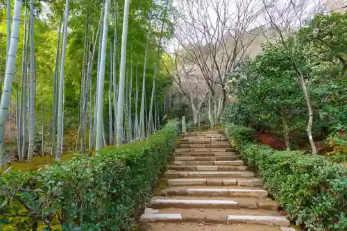 常寂光寺の自然