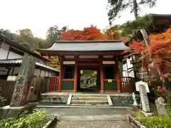 愛宕念仏寺の山門