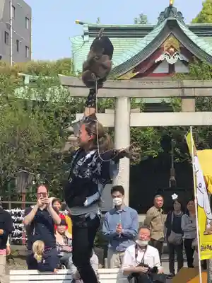 亀戸天神社のお祭り