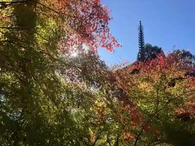 国宝 大法寺(長野県)